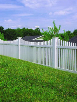 4' H x 8' W Wharton Creek Picket Classic Scallop White