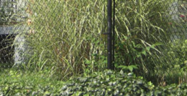 Black Residential Chain Link Fence